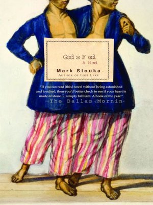 God's Fool - ebook